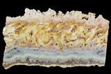 6.8" Colorful, Wild Fire Opal Slab (Not Polished) - Utah - #130594-1